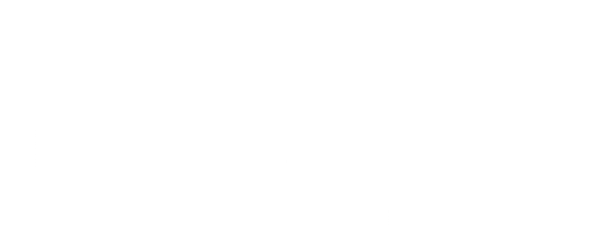 PRINSPROTEA COACHING